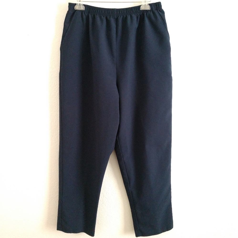Shelly David Pants Trousers Elastic Waist Blue Size 14